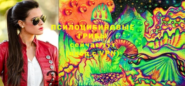 дурь Алексеевка