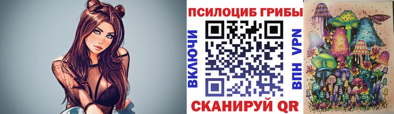 площадка какой сайт  kraken рабочий сайт  Игра  Псилоцибиновые грибы MAGIC MUSHROOMS 